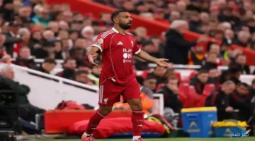 «محمد صلاح يصنع التاريخ».. نجم ليفربول يحقق إنجازاً غير مسبوق في الدوري الإنجليزي